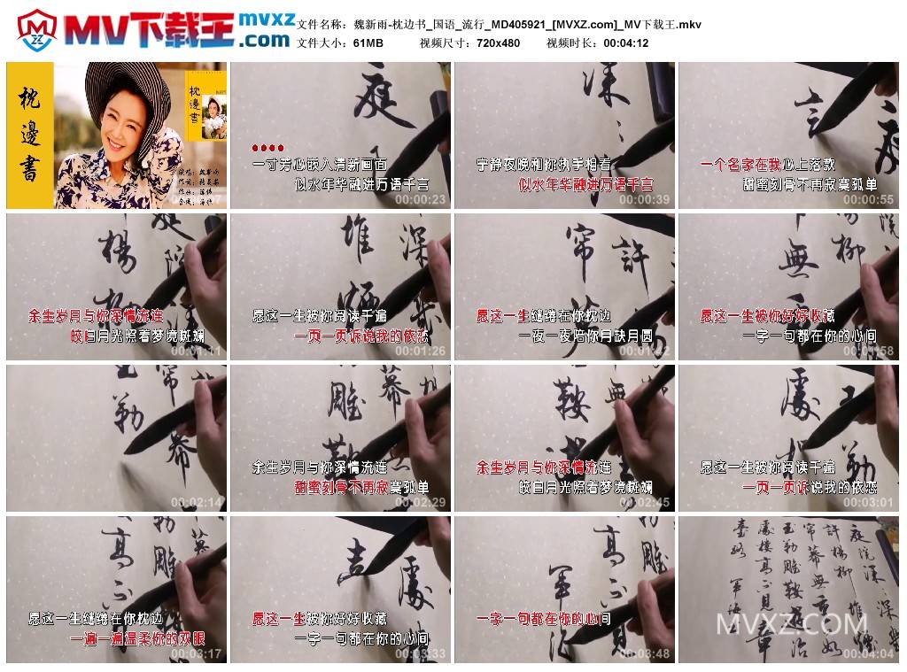 魏新雨-枕边书_国语_流行_MD405921